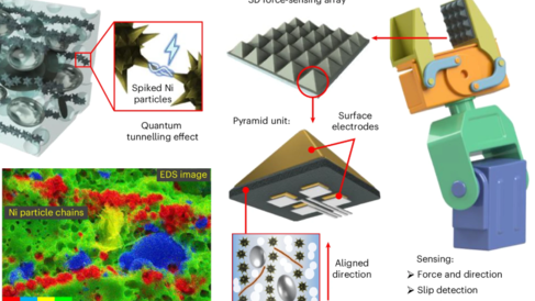 Multiscale structures of the APE sensor