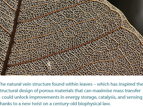 Natural vein structure