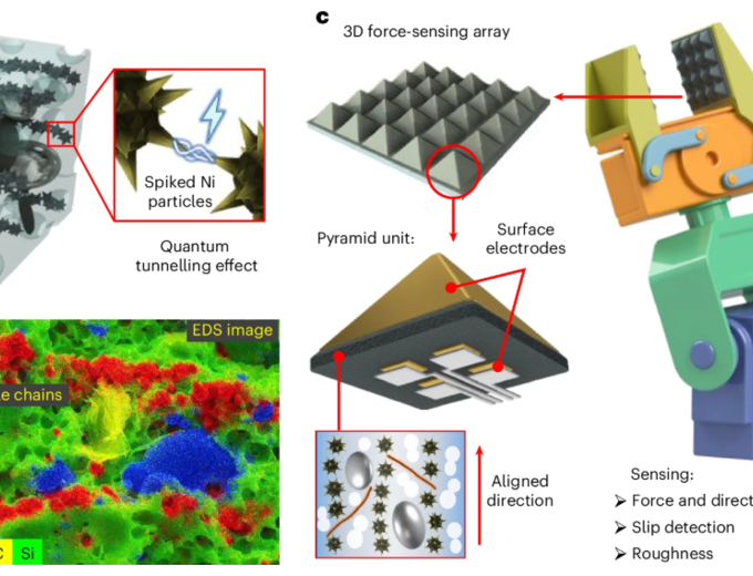 Multiscale structures of the APE sensor